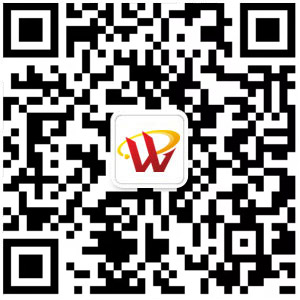 网派互联微信咨询二维码